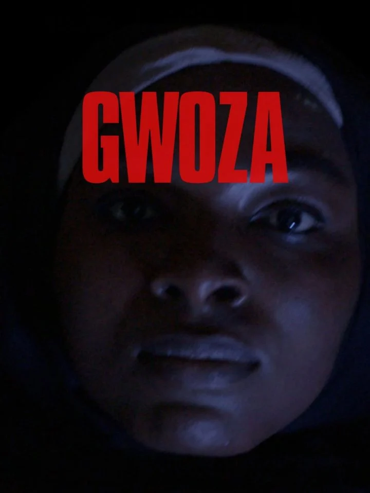 Read more about the article Gwoza (2025) – Nollywood Movie Free Download